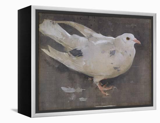 The Pigeon-Joseph Crawhall-Framed Premier Image Canvas