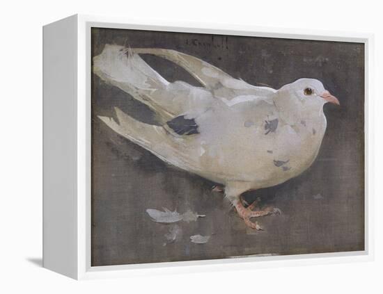 The Pigeon-Joseph Crawhall-Framed Premier Image Canvas