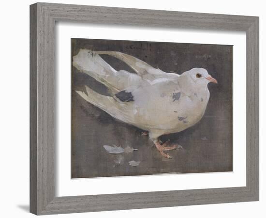 The Pigeon-Joseph Crawhall-Framed Giclee Print