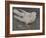 The Pigeon-Joseph Crawhall-Framed Giclee Print