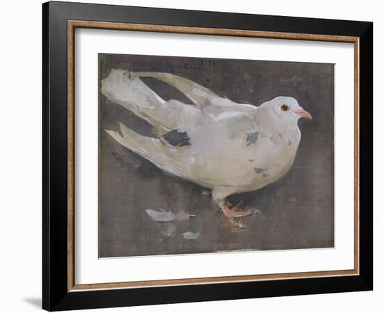 The Pigeon-Joseph Crawhall-Framed Giclee Print