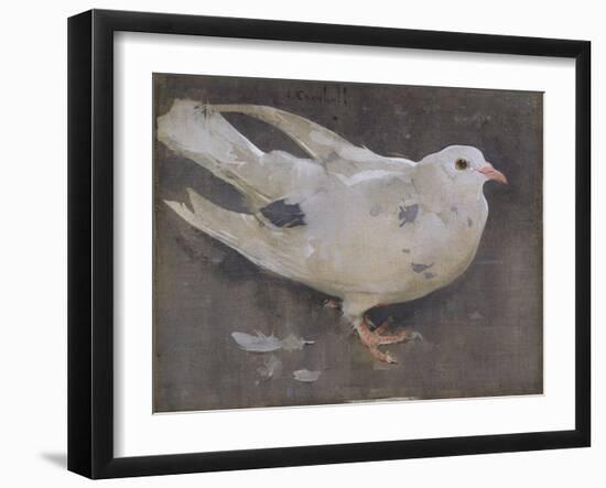 The Pigeon-Joseph Crawhall-Framed Giclee Print