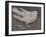 The Pigeon-Joseph Crawhall-Framed Giclee Print