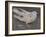 The Pigeon-Joseph Crawhall-Framed Giclee Print