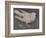 The Pigeon-Joseph Crawhall-Framed Giclee Print