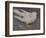 The Pigeon-Joseph Crawhall-Framed Giclee Print