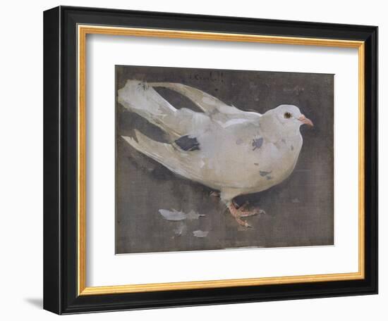 The Pigeon-Joseph Crawhall-Framed Giclee Print