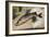 The Pike, 1888-Alfred Sisley-Framed Giclee Print