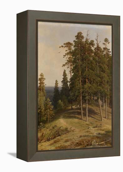 The Pine Forest, 1895-Ivan Ivanovich Shishkin-Framed Premier Image Canvas