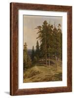 The Pine Forest, 1895-Ivan Ivanovich Shishkin-Framed Giclee Print