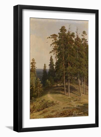 The Pine Forest, 1895-Ivan Ivanovich Shishkin-Framed Giclee Print