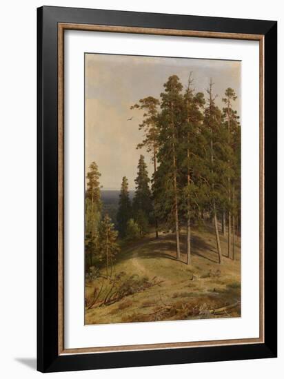 The Pine Forest, 1895-Ivan Ivanovich Shishkin-Framed Giclee Print