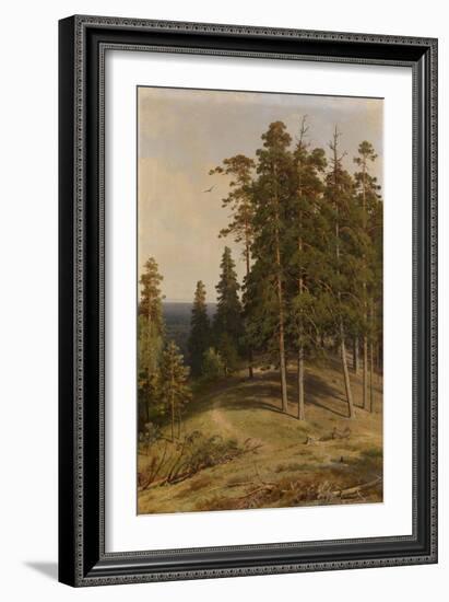 The Pine Forest, 1895-Ivan Ivanovich Shishkin-Framed Giclee Print