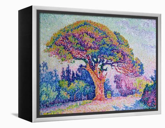 The Pine Tree at St. Tropez, 1909-Paul Signac-Framed Premier Image Canvas