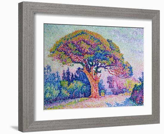 The Pine Tree at St. Tropez, 1909-Paul Signac-Framed Giclee Print