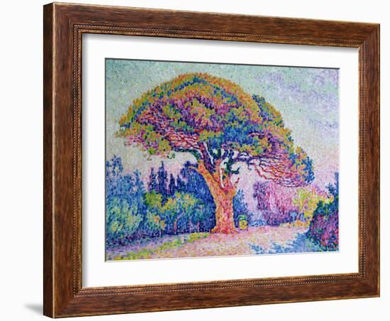 The Pine Tree at St. Tropez, 1909-Paul Signac-Framed Giclee Print