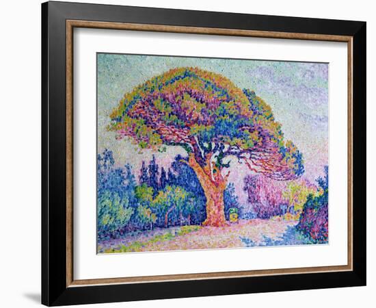 The Pine Tree at St. Tropez, 1909-Paul Signac-Framed Giclee Print