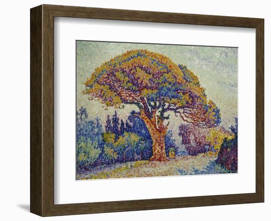 The Pine Tree at St, Tropez, 1909-Paul Signac-Framed Giclee Print