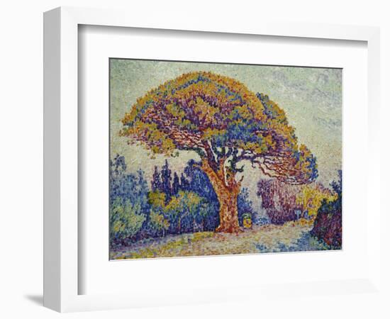 The Pine Tree at St, Tropez, 1909-Paul Signac-Framed Giclee Print