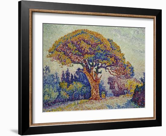 The Pine Tree at St, Tropez, 1909-Paul Signac-Framed Giclee Print