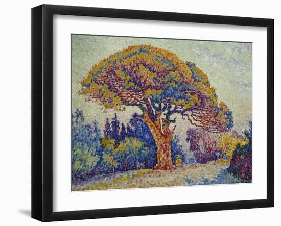 The Pine Tree at St, Tropez, 1909-Paul Signac-Framed Giclee Print