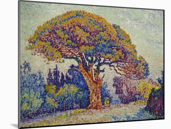The Pine Tree at St, Tropez, 1909-Paul Signac-Mounted Giclee Print