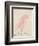 The Pink Bird, from 'sixteen Drawings of Comic Birds'-Edward Lear-Framed Giclee Print