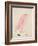 The Pink Bird, from 'sixteen Drawings of Comic Birds'-Edward Lear-Framed Giclee Print