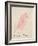 The Pink Bird, from 'sixteen Drawings of Comic Birds'-Edward Lear-Framed Giclee Print