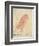 The Pink Bird-Edward Lear-Framed Giclee Print