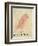 The Pink Bird-Edward Lear-Framed Giclee Print