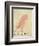 The Pink Bird-Edward Lear-Framed Giclee Print