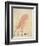 The Pink Bird-Edward Lear-Framed Giclee Print