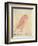 The Pink Bird-Edward Lear-Framed Giclee Print