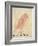 The Pink Bird-Edward Lear-Framed Giclee Print