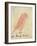 The Pink Bird-Edward Lear-Framed Giclee Print
