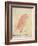 The Pink Bird-Edward Lear-Framed Giclee Print