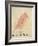 The Pink Bird-Edward Lear-Framed Giclee Print