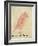 The Pink Bird-Edward Lear-Framed Giclee Print