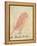 The Pink Bird-Edward Lear-Framed Premier Image Canvas