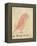 The Pink Bird-Edward Lear-Framed Premier Image Canvas