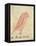 The Pink Bird-Edward Lear-Framed Premier Image Canvas