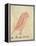 The Pink Bird-Edward Lear-Framed Premier Image Canvas