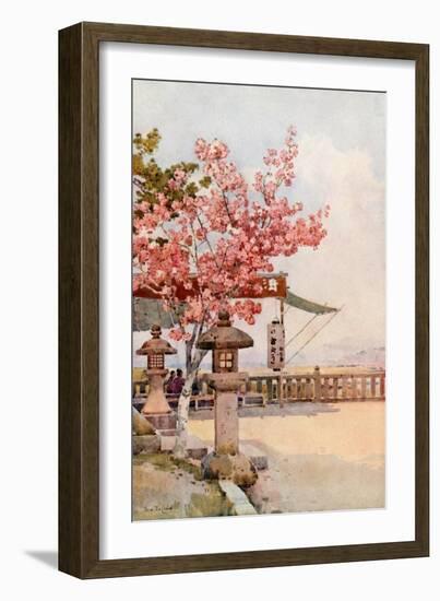 The Pink Cherry-Ella Du Cane-Framed Giclee Print