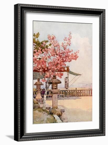 The Pink Cherry-Ella Du Cane-Framed Giclee Print