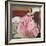 The Pink Dress (Oil on Panel)-William Nicholson-Framed Giclee Print