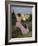 The Pink Dress, or View of Castelnau-Le-Lez, Herault, 1864-Frederic Bazille-Framed Giclee Print