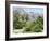 The pink granite flank of Mount Leket-Werner Forman-Framed Giclee Print