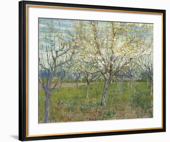 The Pink Orchard, 1888-Vincent van Gogh-Framed Art Print