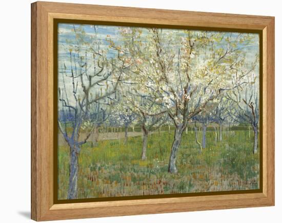 The Pink Orchard, 1888-Vincent van Gogh-Framed Premier Image Canvas